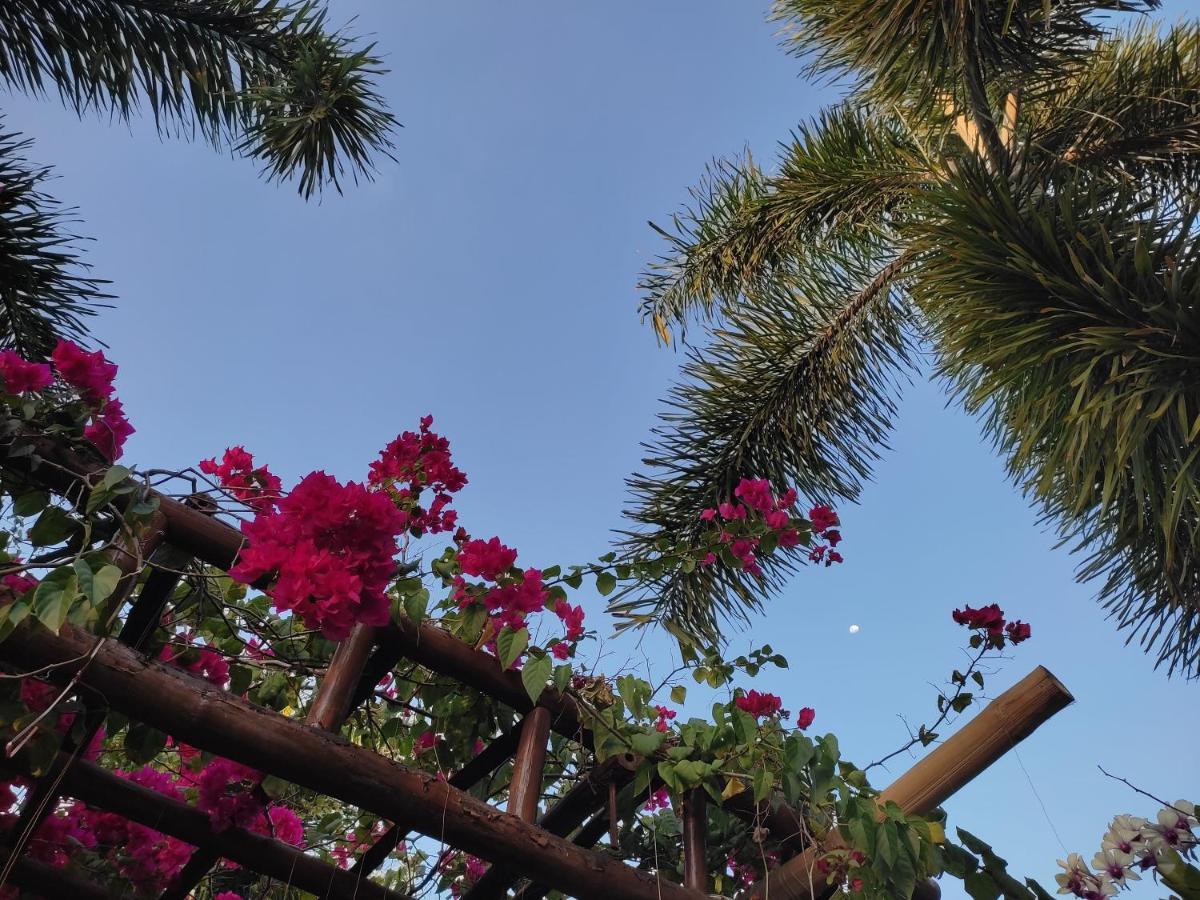 Labrador Olana Bed And Breakfast מראה חיצוני תמונה