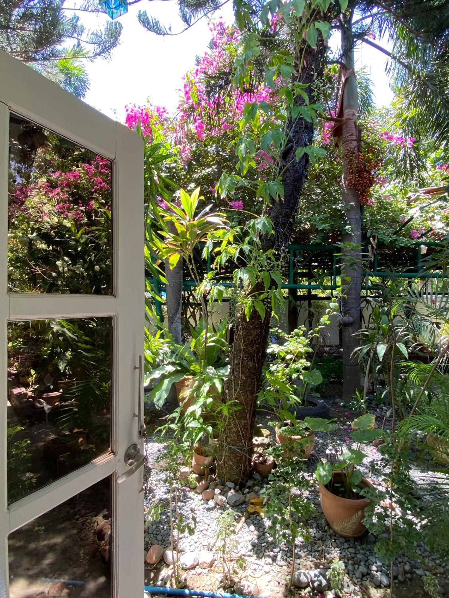 Labrador Olana Bed And Breakfast מראה חיצוני תמונה