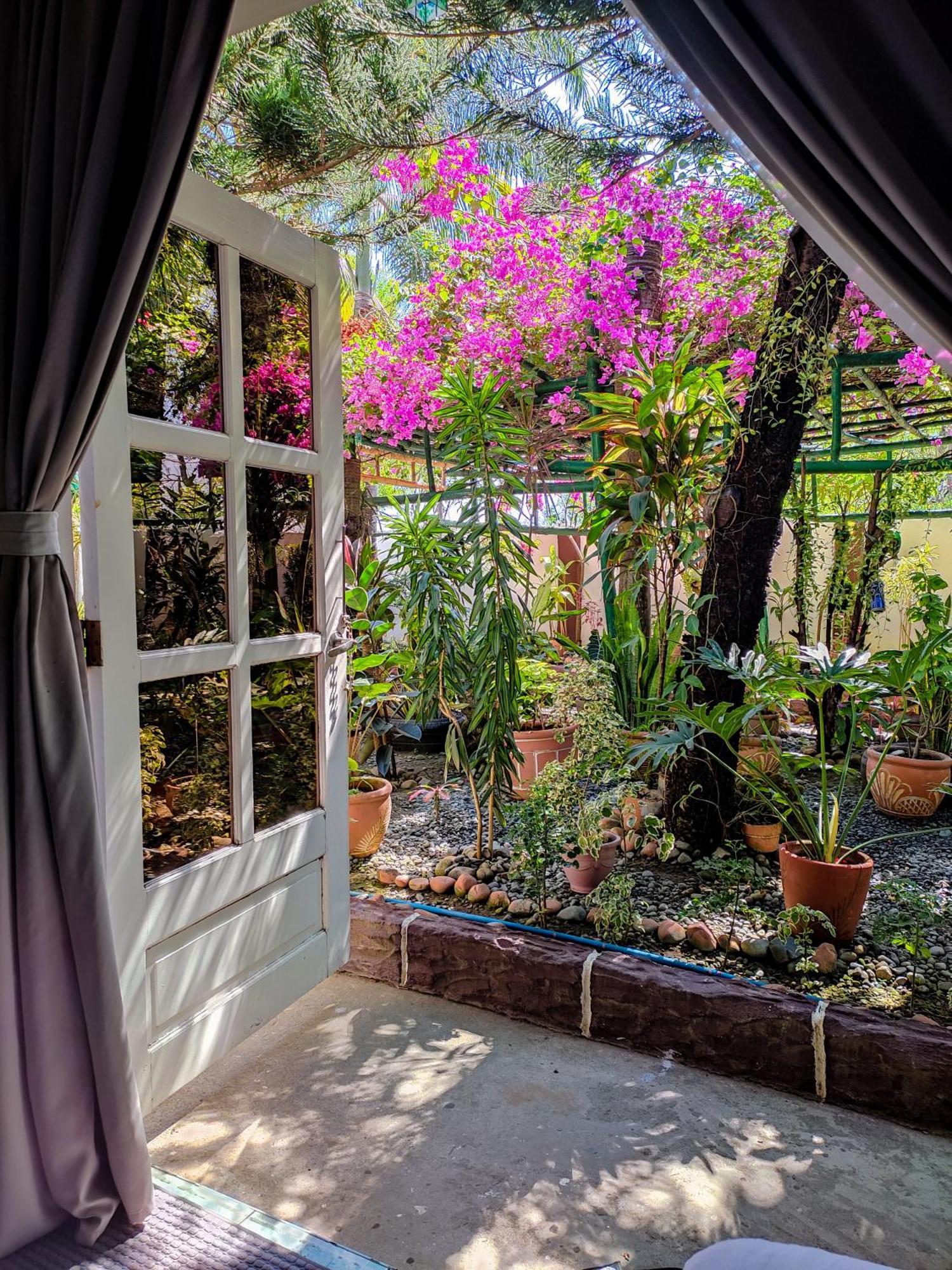 Labrador Olana Bed And Breakfast מראה חיצוני תמונה