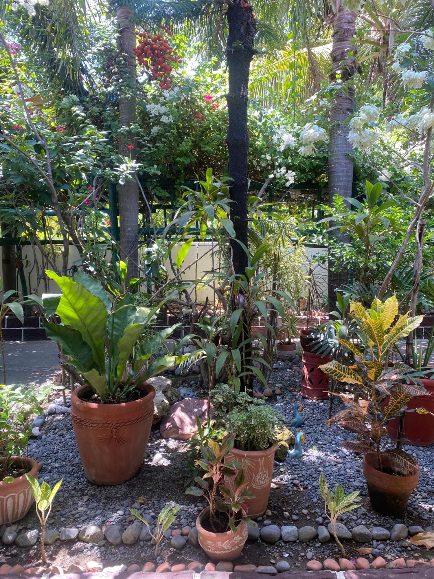 Labrador Olana Bed And Breakfast מראה חיצוני תמונה